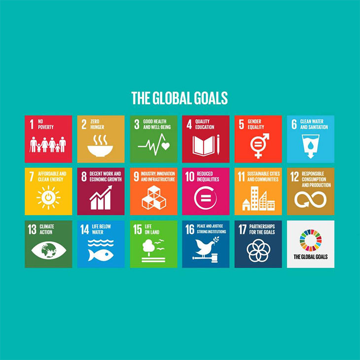 support-the-goals-square