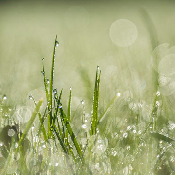 thomas-couillard-63z4rEJBHao-unsplash-1024x683